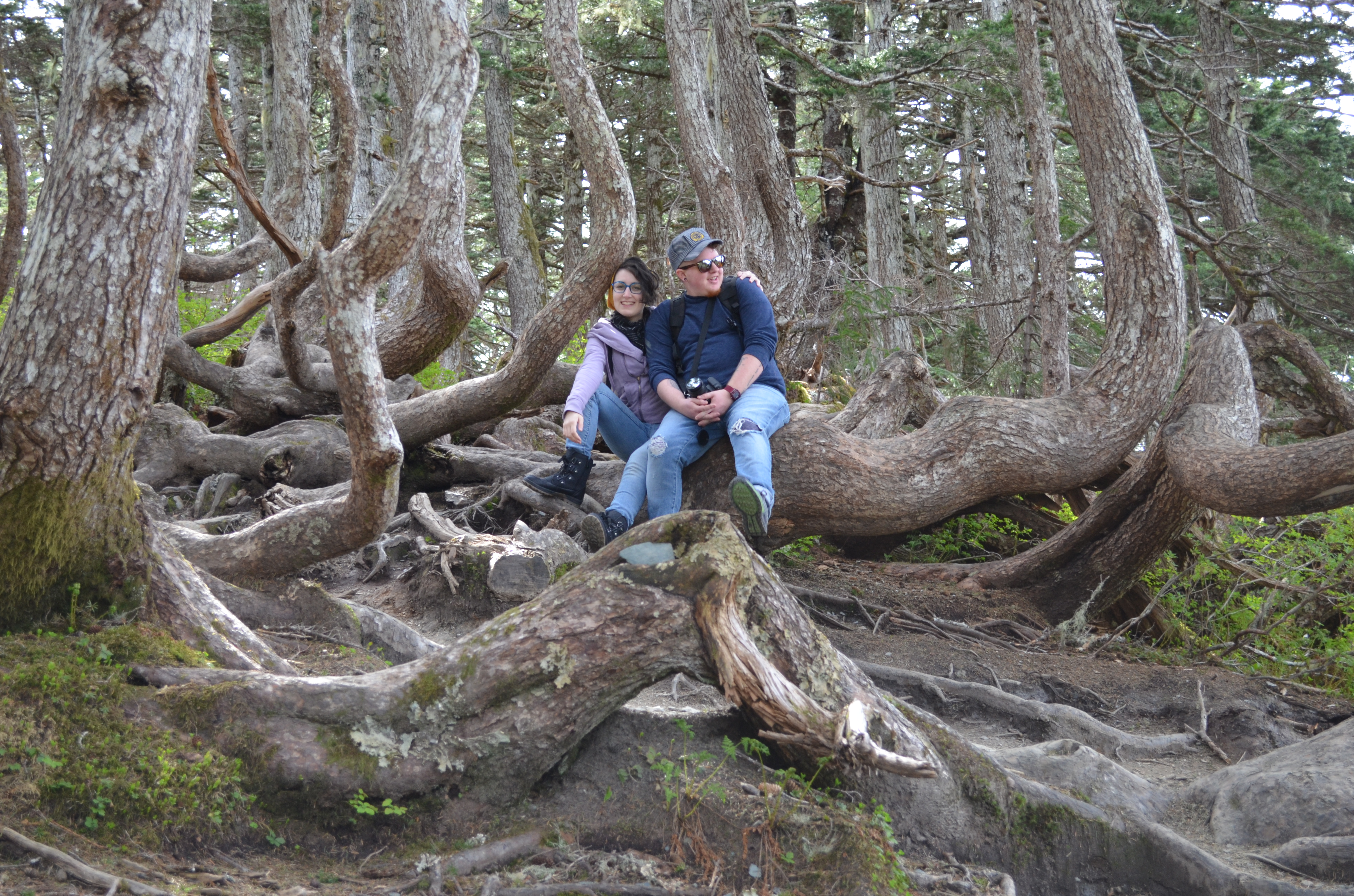 ./2017/08 - Alaska Cruise/08 - Juneau/DSC_0905.JPG